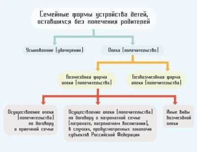 Основные различия в формах семейного устройства детей